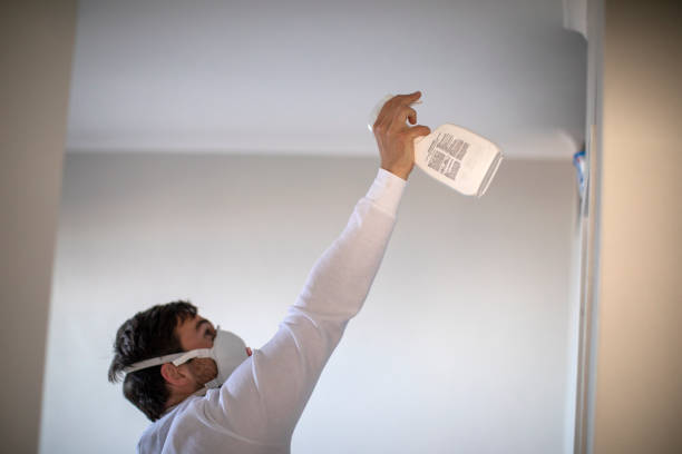 Best Black Mold Removal  in Harrodsburg, KY