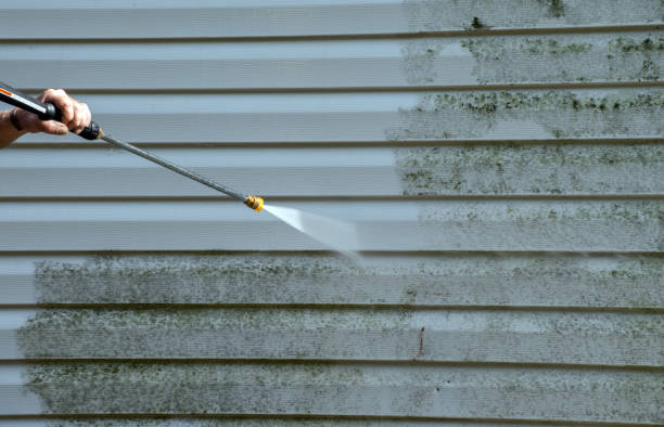 Best Attic Mold Removal  in Harrodsburg, KY