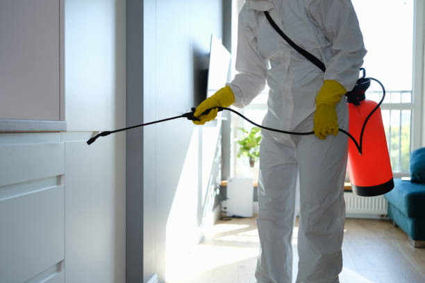 Best Mold Testing  in Harrodsburg, KY