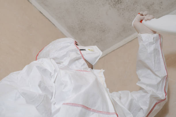 Best Mold Removal Near Me  in Harrodsburg, KY