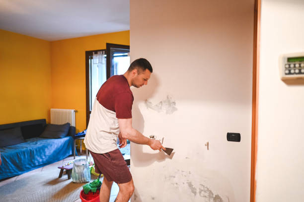 Best Mold Removal Near Me  in Harrodsburg, KY